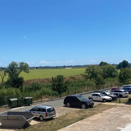 Sunny Day6-25 * 内塞伯尔